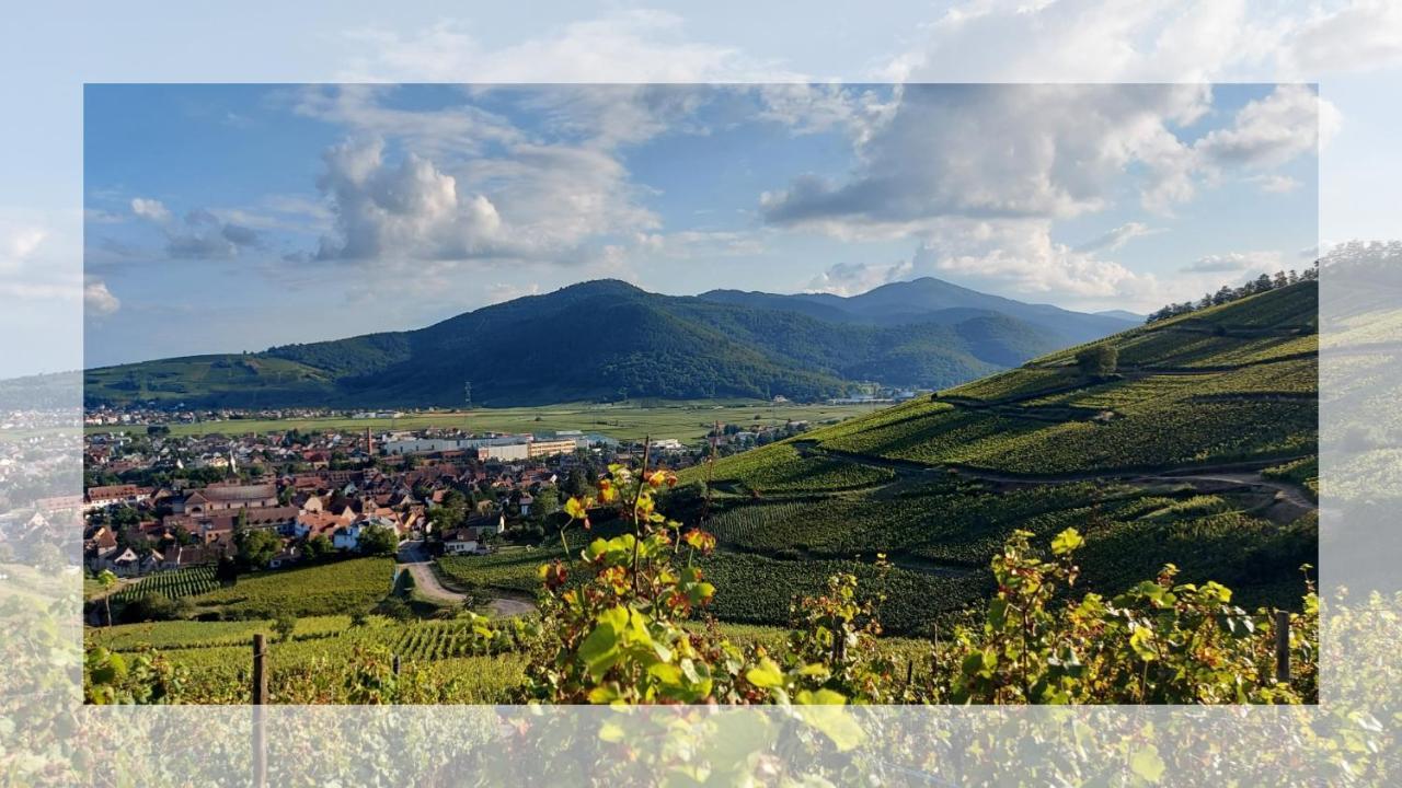 Les Toits De Turckheim Lägenhet Exteriör bild